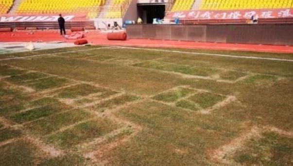  柏林联合主场草皮质量遭质疑，足协介入调查  